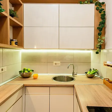 Grand Gallery With Cinema & Balcony Old Town Belgrado