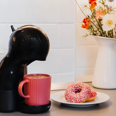 Grand Gallery With Cinema & Balcony Old Town * 베오그라드